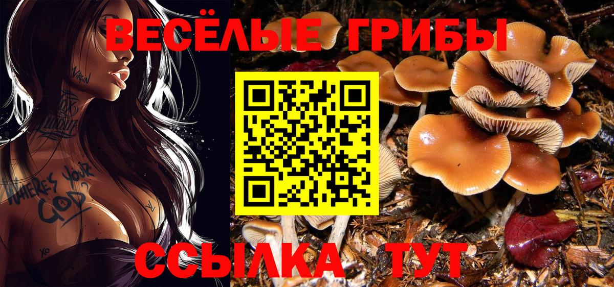 COCAIN  Вход с VPN  Мефедрон   A PVP СК   ГАШ  Борисоглебск  Гашиш 