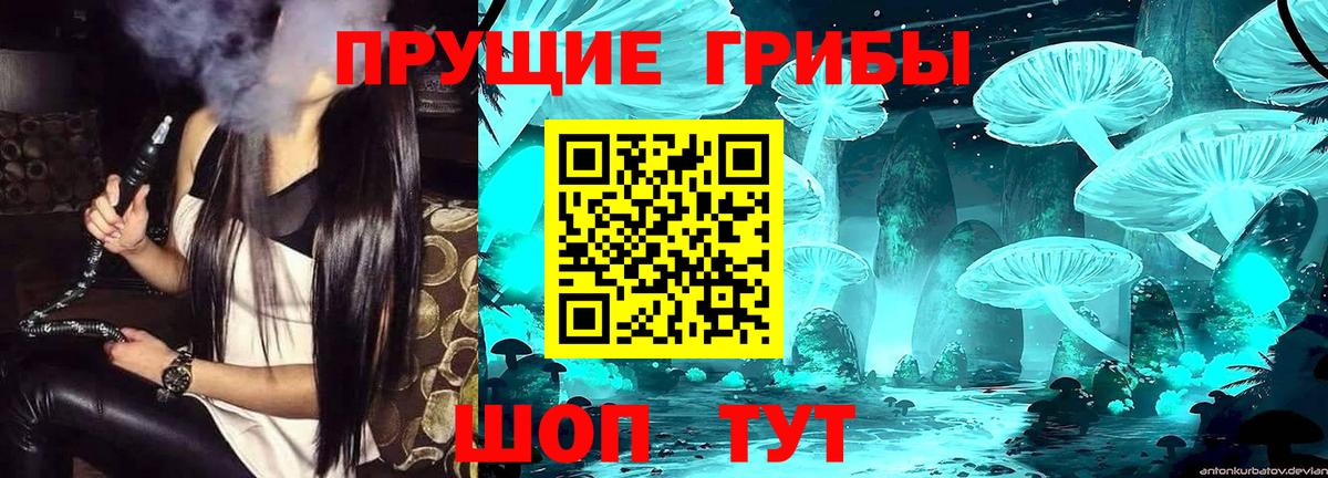 Борисоглебск  Галлюциногенные грибы Magic Shrooms  Вход с VPN 